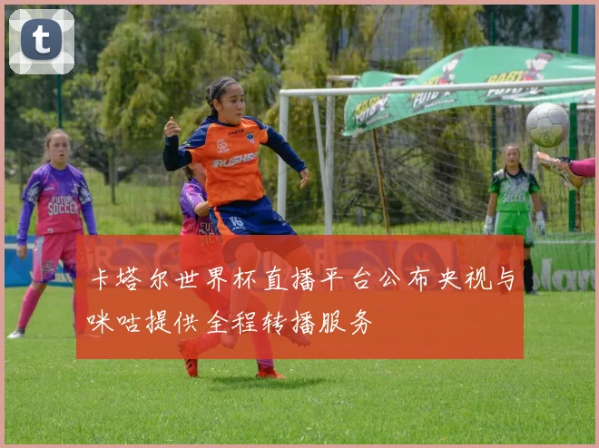卡塔尔世界杯直播平台公布央视与咪咕提供全程转播服务