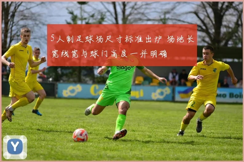 5人制足球场尺寸标准出炉 场地长宽线宽与球门高度一并明确