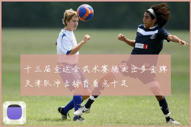十三届全运会武术赛场决出多金牌天津队冲击榜首看点十足