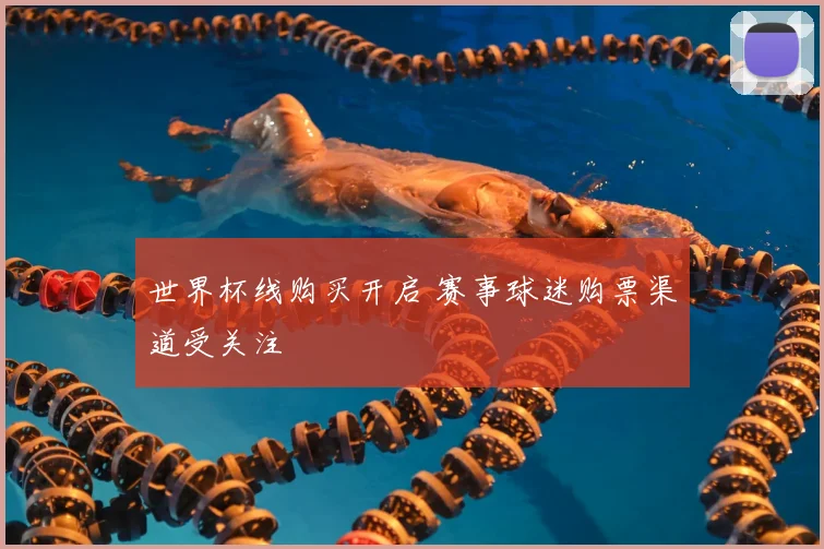 世界杯线购买开启 赛事球迷购票渠道受关注