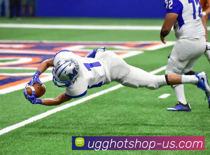 云开app官网登录入口平台生态图