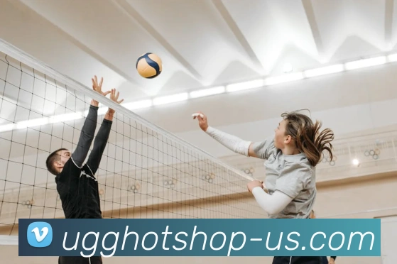 云开app官网登录入口全站App